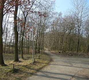 Wunderschöne Boberger Niederung