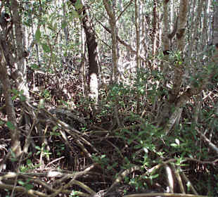 Unterwegs auf den Wanderwegen