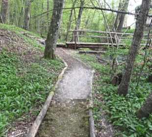 Barfußpfad Firstwald