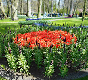 Blumenpracht im Keukenhof