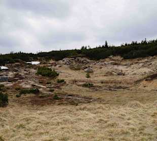 Berg Schneekoppe/Śnieżka