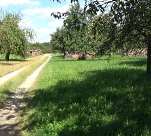 Hochgehnießen - Premiumspazierwanderweg