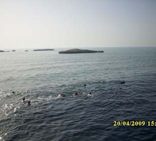 Schnorcheln am 3. Riff