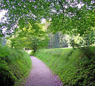 Der Therapeutische Wanderweg