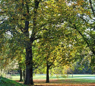 Rundgang durch den Hamburger Stadtpark