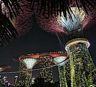 Gardens by the Bay