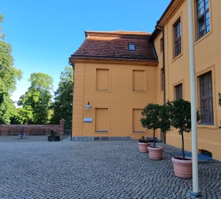 Bäumchen vor dem Schloss