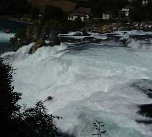 Am Rheinfall