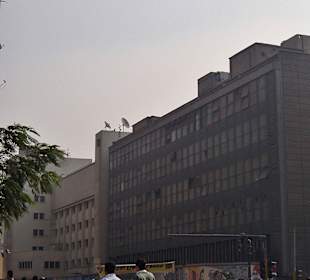 Tahrir-Platz an einem Donnerstag