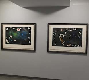 Ausstellung Miro
