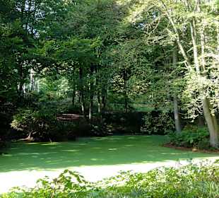 Herbstspaziergang durch Knoops Park