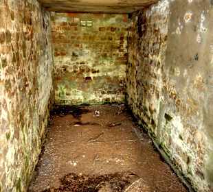 Blick in den Erdkeller