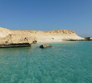Wunderschön hier am Roten Meer 2 Tages Delfintour
