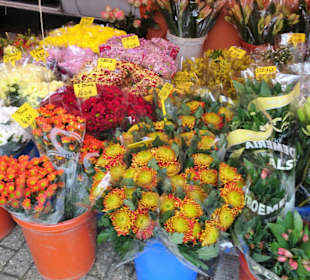 Impressionen vom Wochenmarkt Pferdemarkt