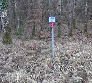 Ochsenweiher Rundweg