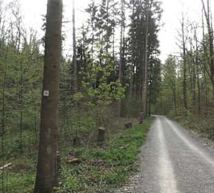 Wanderweg Firstwaldrunde