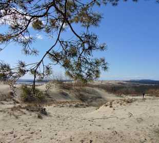 Dünenlandschaft auf der Kurischen Nehrung b. Nida