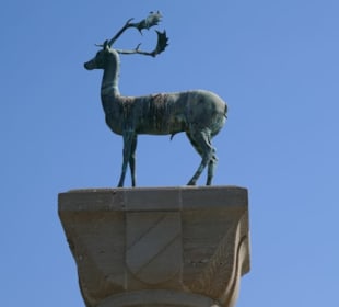 Der Hirsch