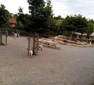 Schwabenpark in Welzheim