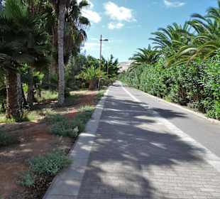 Auf der Promenade des Palmenhaines