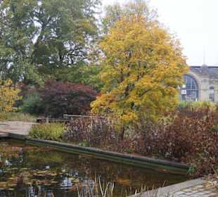 Parkanlage Planten un Blomen