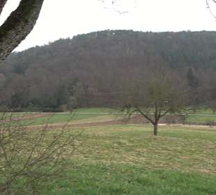 Unterjesinger Wengertwegle