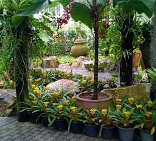 Park Nong Nooch Village and Tropical Garden