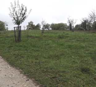 Naturschutzgebiet Listhof