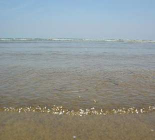 Strand von Bibione 06-2010