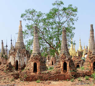 Alte Stupas, dahinter welche aus Gold