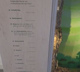 Museum Natur und Mensch