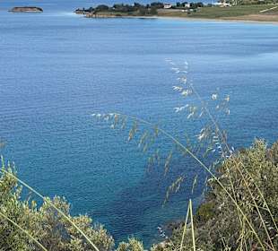Sithonia 