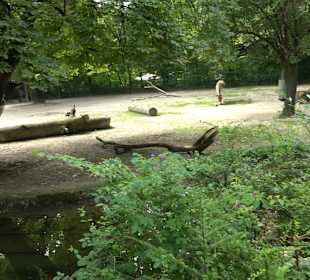 Tierpark Hellabrunn