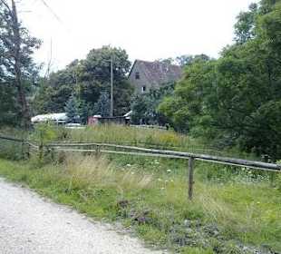 Restaurant Bisonstube Bodenwald