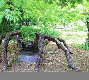 Holzspinne im Zoo Budapest