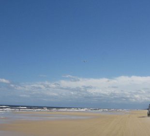 Fahrt am Strand von Fraser Island