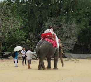 Hochzeit auf Elefanten