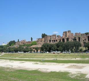 Veduta del Circo Massimo