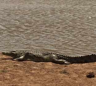 Tsavo West Nationalpark
