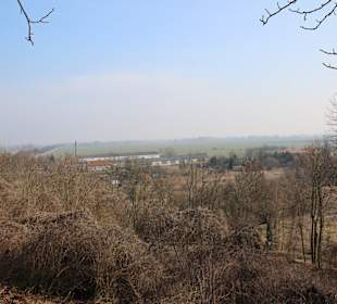 Ausblick vom  „Platz der Ruhe“ in das Oderbruch