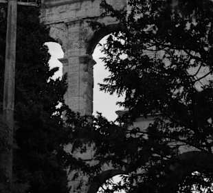 Leaves and amfitheatre