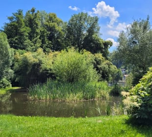 Großer Teich