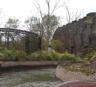 Land der Abenteuer - Dschungel X-pedition