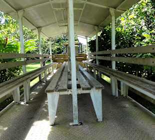 Rundfahrt durch die Plantage