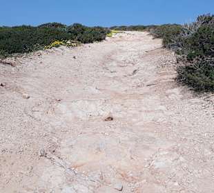 Nationalpark Kap Greco
