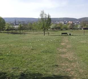 Gartenschau
