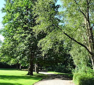 Spaziergang durch den Stadtpark Flensburg