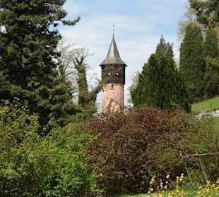 Осторов майнау