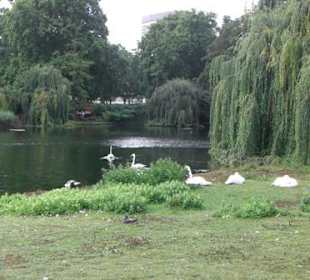St. James's Park