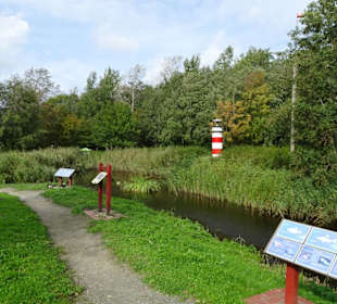 Im Feuchtbiotop des Natureum Niederelbe